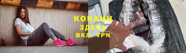 индика Аркадак