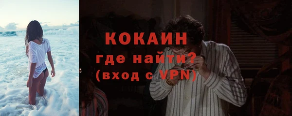индика Аркадак