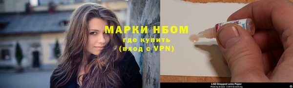 индика Аркадак