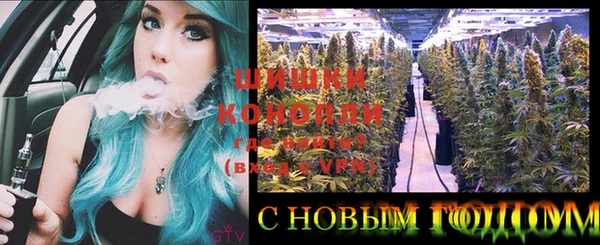 кокс Пестово