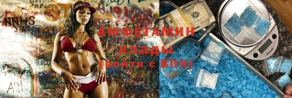индика Аркадак