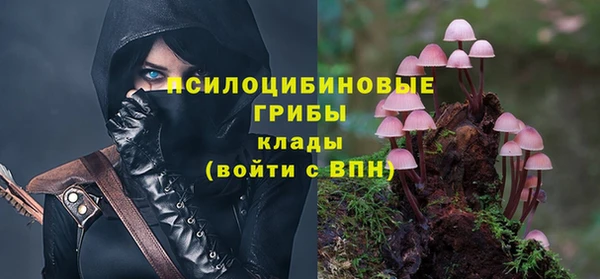 индика Аркадак